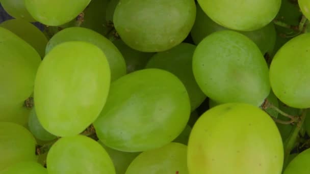 Zbliżenie Białych Winogron Białe Winogrona Ruch Kamery Góry Dołu Materiały — Wideo stockowe