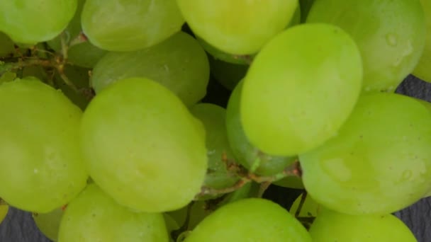 グリーンブドウのマクロ 白ブドウのクローズアップ ホワイトブドウと水滴 上から下にカメラの動き マクロの映像 — ストック動画
