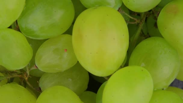 グリーンブドウのマクロ 白ブドウのクローズアップ ホワイトブドウと水滴 カメラの動きは下から上へ マクロの映像 — ストック動画