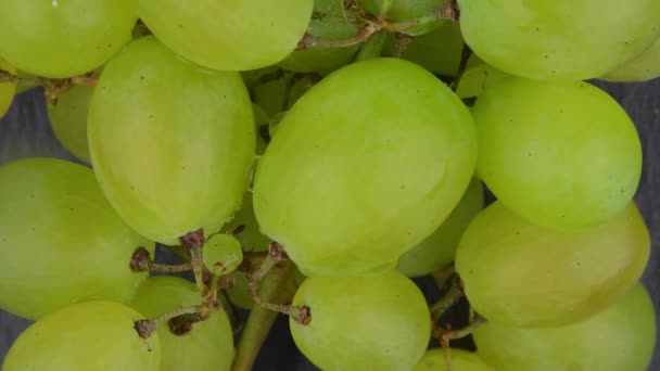 グリーンブドウのマクロ 白ブドウのクローズアップ ホワイトブドウと水滴 カメラの動きは下から上へ マクロの映像 — ストック動画