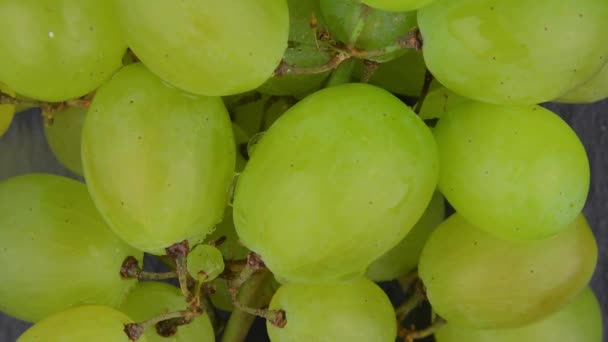 グリーンブドウのマクロ 白ブドウのクローズアップ ホワイトブドウと水滴 下から上へカメラの動き — ストック動画