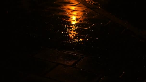 Lluvia Nocturna Gotas Lluvia Cayendo Charco — Vídeos de Stock