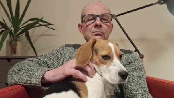 飼い主と一緒に犬を飼っている 椅子に座っている犬のシニア ペット犬を脳卒中する男 幸せなカヌーの概念 — ストック動画