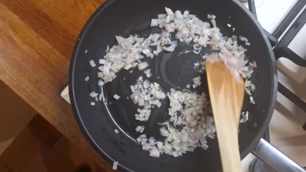 Stir Chopped Onions Fry Pan Sliced Onions Skillet Frying Diced — Stock Video