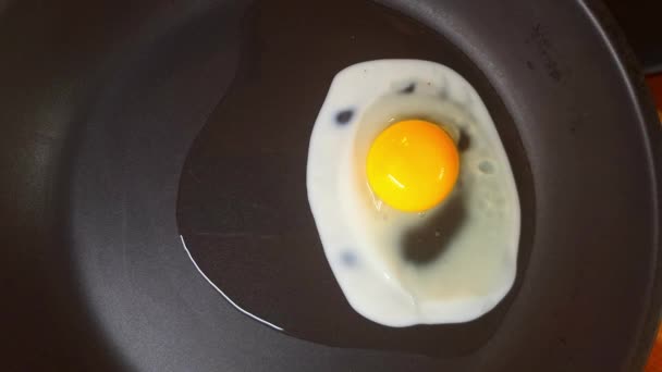 Yumurtayı Tavaya Kır Tavada Kırılmış Yumurta Var Kızartma Tavasında Pişmiş — Stok video