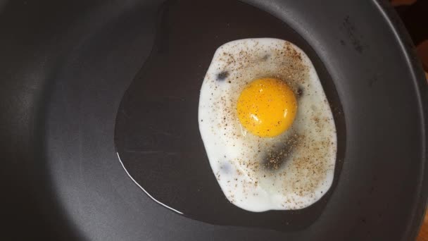 Σπάσε Αυγό Στο Τηγάνι Πικάντικο Χτυπημένο Αυγό Στο Τηγάνι Βάζοντας — Αρχείο Βίντεο