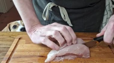 Aşçı tavuk pirzolalarını keser. Erkek eller tavuk eti doğruyor. Arka planda, aç bir köpek. Yemek pişirme, gastronomi ve aşçılık kavramı. Ev mutfağından görüntüler.