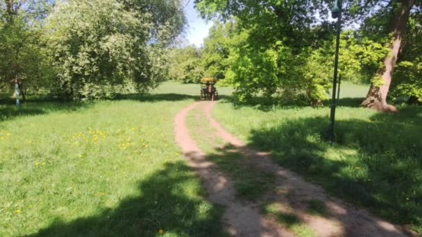 到达森林路上的马车处 在草地上骑马 夏天的心情国家气氛 — 图库视频影像