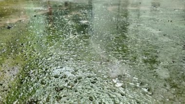 Şehir kaldırımına sağanak yağmur yağıyor. Sağanak yosun kaplı betona yağıyor..