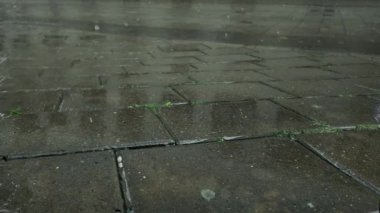 Şehirde yağmur yağıyor. Şehirdeki kaldırıma yağmur damlaları yağıyor. Gün boyunca yağış.