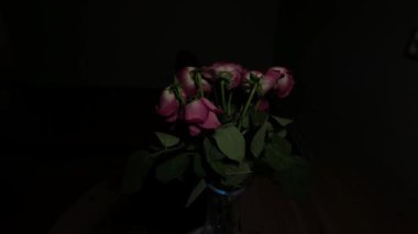 Koyu arkaplanda çiçek açan güller. Siyah arka planda dönen güller. Kara film havası.