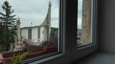 Yuvasında bir güvercin oturuyor. Pencere kenarındaki bir çiçek kutusunda güvercin yuvası. Şehirdeki güvercinlerin hayatı.