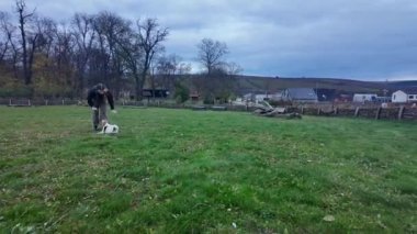 Genç bir kız köpeğiyle oyun oynamaktan hoşlanır. Kız köpek parkında köpekle oynuyor. Tasmasız köpek parkındaki av köpeği ve kız kavramı.