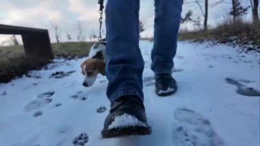 Bir adam köpeğini karlı bir arazide gezdirir. Yürüyüşe çıkmış köpek, eriyen karı kokluyor. Köpeği gezdirme fikri ve bir köpek sahibinin arkadaşlığı..