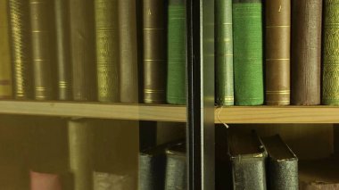 Eski kitapların bir dizesi. Kitaplıkta düzenlenmiş antik kitaplardan oluşan bir koleksiyon. Eğitim, eğitim ve klasik kitaplar konsepti.