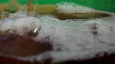 Bardağa bira dolduruyorum. Bardağa bira doldurur. Üst baş ve bira kabarcıklarının makro görüntüsü. Yavaş çekim ve yeşil ekran arkaplanı.