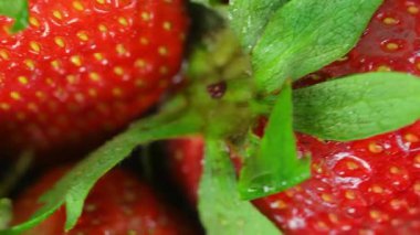 Dönen kırmızı olgun çilekler. Arka planda dönen kırmızı çilekler. Meyve ve yaz kavramı. Yakın çekim ve makro video.