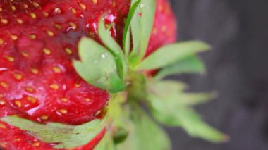 Dönen kırmızı olgun çilekler. Dönüş alanında kırmızı böğürtlen. Meyve ve yaz kavramı. Yakın çekim ve makro video.