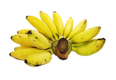 Beyaz arka planda izole edilmiş bir grup muz.