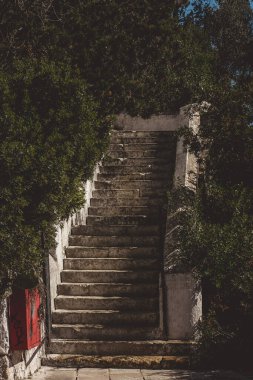 Tepeye çıkan patikanın beton merdivenleri, her iki tarafında yeşil ağaçlarla kaplı..
