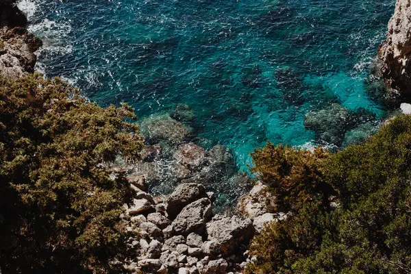 蓝水拍打着绿树成荫的岩石海滩的倒影 — 图库照片