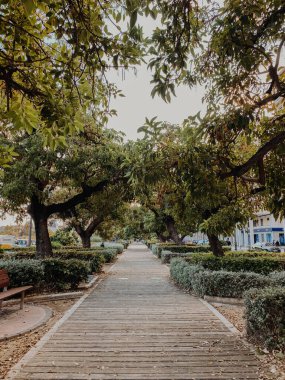 Valencia, İspanya. Uzaklarda ahşap bir patika olan güzel bir park manzarası. Mavi gökyüzünün altında yeşil yaprakları olan yeşil çalılar ve ağaçlarla çevrili..