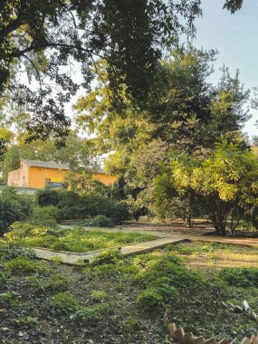 Mavi gökyüzünün altında yeşil ağaçlarla çevrili beton kaldırımlarla çevrili yaya yolları olan bir park..