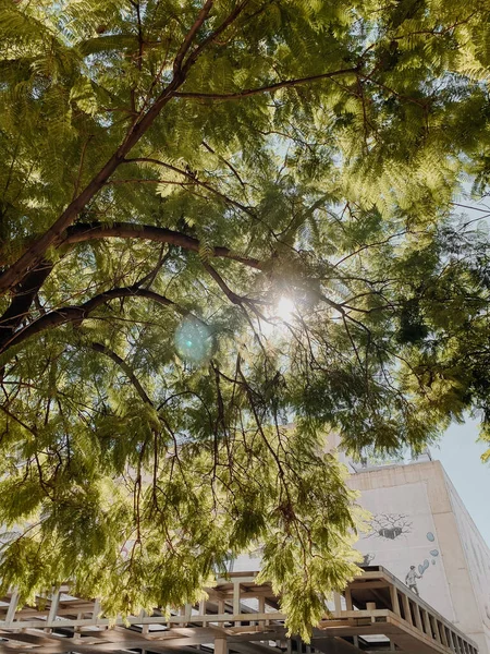 Βαλένθια Ισπανία Λαμπερός Καλοκαιρινός Ήλιος Στον Γαλάζιο Ουρανό Λάμπει Μέσα — Φωτογραφία Αρχείου