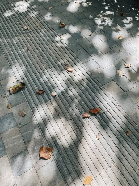 Пішохідний Тротуар Бруківкою Покритим Апельсиновим Осіннім Листям Тінями Відлитим Деревами — стокове фото
