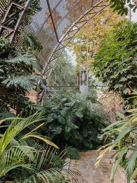 Βοτανικός Κήπος Κάτω Από Μεταλλικό Κλουβί Πράσινα Φυτά Και Τσιμεντένιο — Φωτογραφία Αρχείου