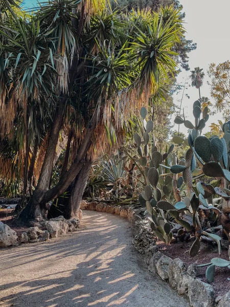 Parque Con Sendero Bordeado Piedras Macizos Flores Con Cactus Verdes — Foto de Stock