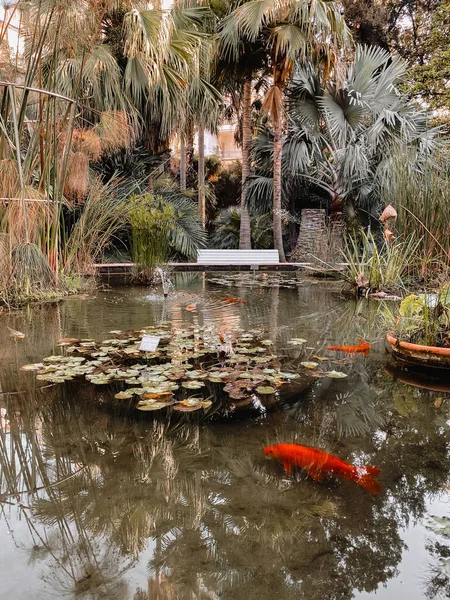 Jardim Botânico Com Uma Lagoa Meio Com Água Clara Através — Fotografia de Stock