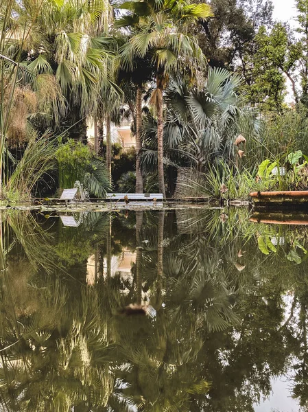 Jardim Botânico Com Lago Redor Com Água Limpa Árvores Enormes — Fotografia de Stock