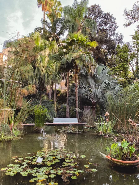 Ботанический Сад Прудом Середине Окружен Деревянной Скамейкой Огромными Зелеными Пальмами — стоковое фото