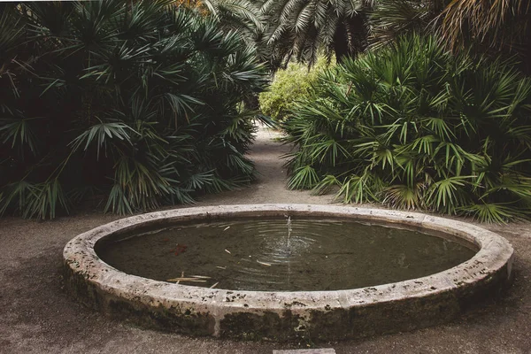 Fontaine Circulaire Avec Bords Béton Dans Parc Milieu Sentier Piétonnier — Photo