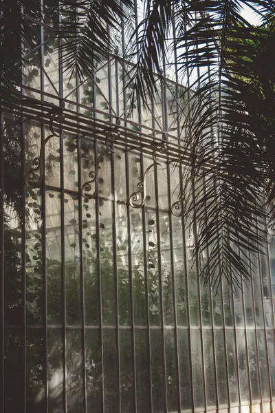 Крупным Планом Стеклянная Стена Теплицы Защищена Металлическим Забором Рядом Зелеными — стоковое фото