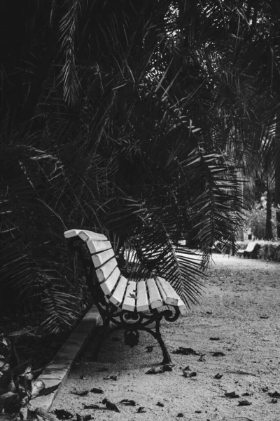Πάρκο Ένα Μονοπάτι Επισκέπτη Άμμο Που Οριοθετείται Από Τσιμεντένιες Άκρες — Φωτογραφία Αρχείου