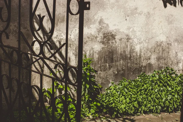 Сіра Строката Стіна Будинку Металевими Воротами Зелена Трава Кульбабами Кропивою — стокове фото