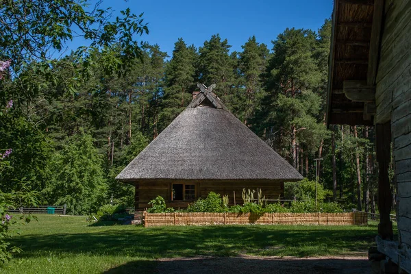 Stary Drewniany Dom Strzechą Drewnianym Ogrodzeniem Wokół Niego Zielonej Łące — Zdjęcie stockowe