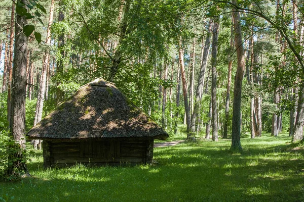 Stary Drewniany Dom Strzechą Zielonym Lesie Liściastym Ciepły Letni Dzień — Zdjęcie stockowe