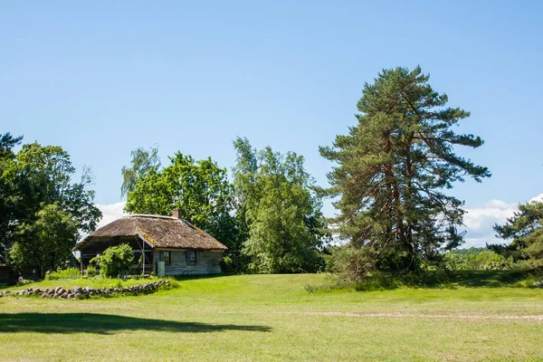 Stary Drewniany Dom Mieszkalny Strzechą Drewnianą Stodołą Zielonej Łące Pod — Zdjęcie stockowe