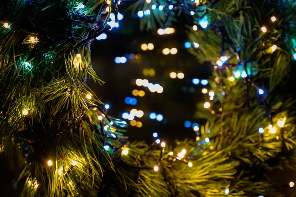 2023年新年 圣诞节漂亮的灯亮在金色温暖的背景上 树背上的灯光暗了下来 圣诞树玩具 黄金抽象眨眼模糊 — 图库照片