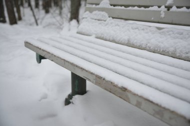 Parktaki beyaz, karla kaplı ahşap bankların yakın çekimi..