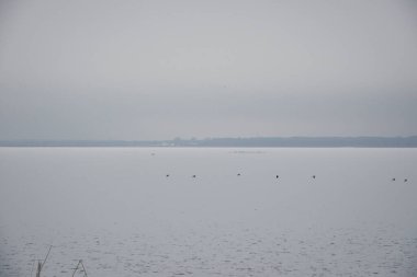 Üzerinde kara kuşların oturduğu donmuş bir göl ve ufukta bir orman manzaralı güzel kış manzarası..