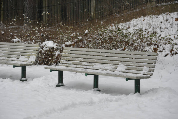 Wooden bench in the park is covered with snow
