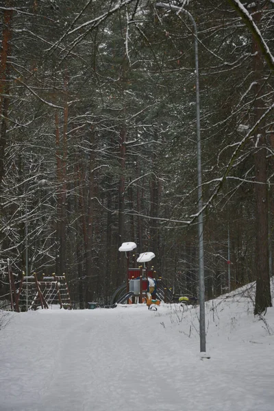 Holzkonstruktionen Des Kinderspielplatzes Park Dem Ein Schneebedeckter Fußweg Führt — Stockfoto