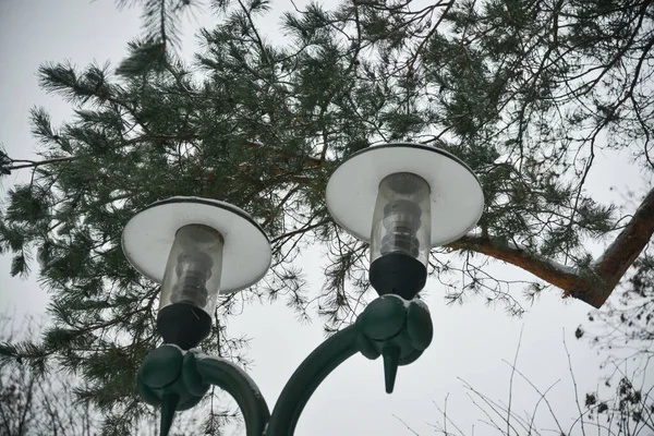 green metal lantern stand with two huge lamps with white roofs under a green pine tree against a white sky in winter.