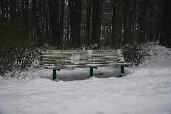 Träbänk Parken Täckt Med Snö — Stockfoto
