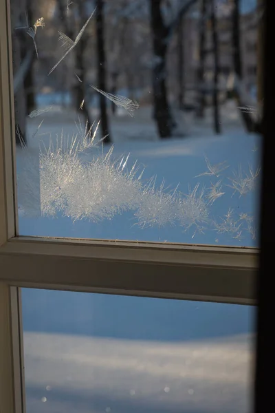 frozen icicle on a window pane on a cold winter day. sunlight shines through the glass in the room, creating the shadows of ice flowers on the wooden window frame
