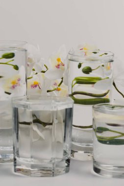 Önünde su dolu cam bardaklar olan beyaz arka planda beyaz çiçeklerle dolu bir hayat bir illüzyon yaratır..